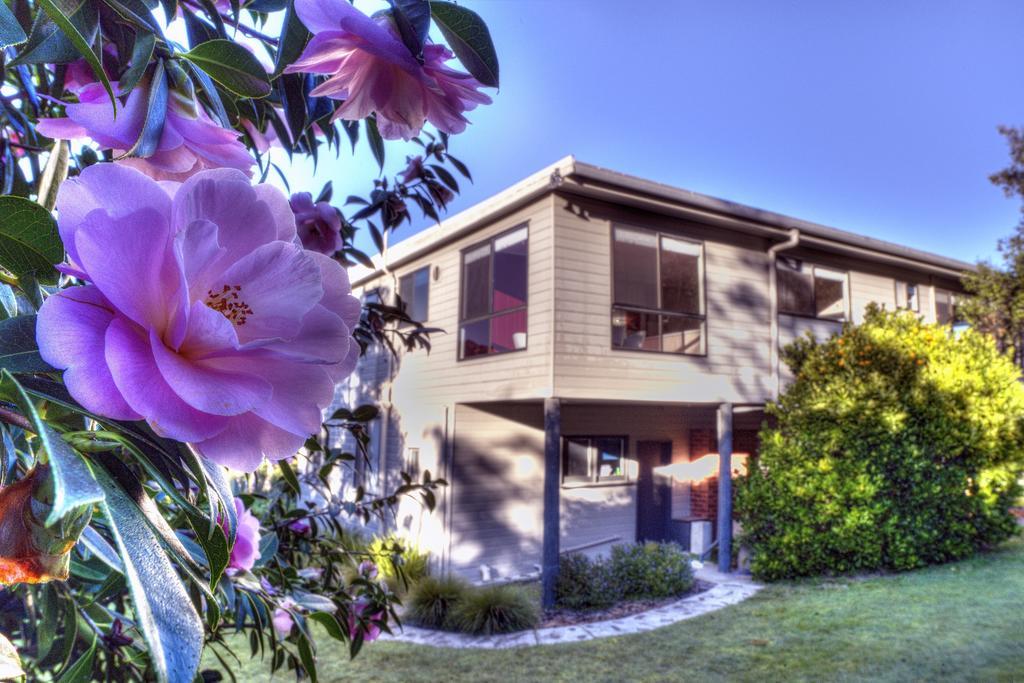 Cove Beach Apartment 2 Coles Bay Exterior foto